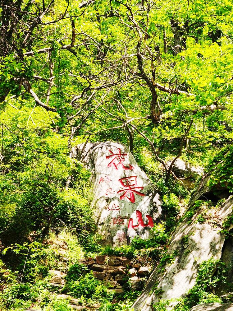 花果山游记.jpeg